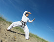 Taekwon-do move