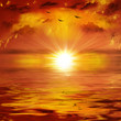 Beautiful sunrise with flying birds in clouds