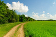 country road and sunny green field country road and sunny green field