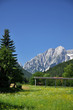Alpine Landscape