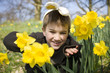 Young Boy Peering Through Daffodils Wearing Bunny Ears