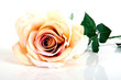Foto: künstliche Rose künstliche Rose