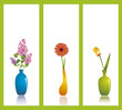 Lilac, gerbera and tulip in vases against white background Lilac, gerbera and tulip in vases against white background