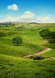 Nature 1