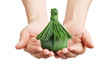 the house in hands of the person the house in hands of the person