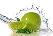 Water splash on lime with mint isolated on white