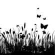 Vector: grass background grass background