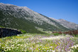 Prairie et colline Prairie et colline