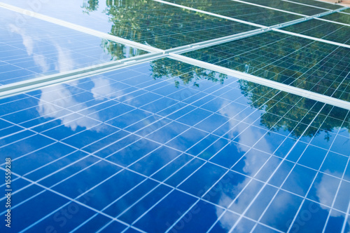 Photo: Solar panels with tree reflection Solar panels with tree reflection