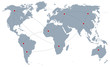 social network, social media, woldmap