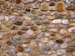 Stadtmauer