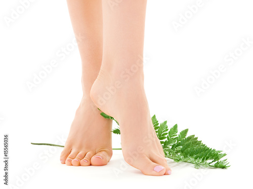 Photo: female legs with green leaf female legs with green leaf