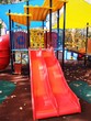 A picture of a colorful playground in park