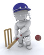 man playing cricket