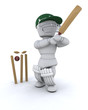 man playing cricket
