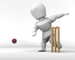 man playing cricket
