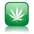 Square button with Cannabis Leaf symbol (green)