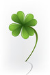 Lucky