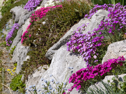 Steingarten Steingarten