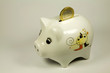 Sparschwein