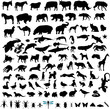 100 Animal Silhouettes 100 Animal Silhouettes