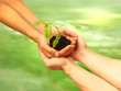 business écologie concept 3
