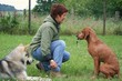 Hundeschule 15