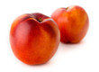 Nectarine