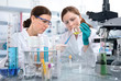 scientists working at the laboratory scientists working at the laboratory