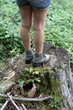 Foto: stehen stehen