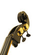 Contrabass Contrabass