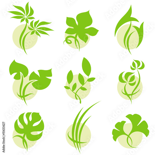 tropical leaf templates