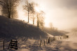 Winter light