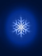 Photo: Snowflake Snowflake