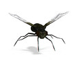 stereo rendering of a fly. use red-blue google for 3d-effect