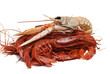 Carabineros y cigala.