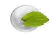 Stevia Rebaudiana-Süsskraut Stevia Rebaudiana-Süsskraut