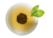Stevia Rebaudiana-Süsskraut