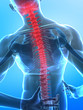 human x-ray spine human x-ray spine