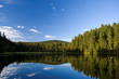 Fichten spiegeln sich in See an herrlichem Sommertag