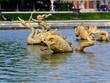 Grandes Eaux de Versailles Grandes Eaux de Versailles