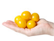 handful of  yellow tomatos