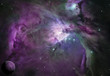 Fuscia Space