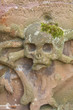 Foto: Totenkopf Totenkopf