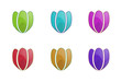 Tulips illustration in various colors on a white background Tulips illustration in various colors on a white background