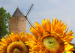Dans le Luberon
