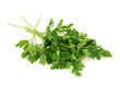 Parsley