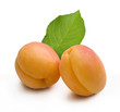 Apricot 3
