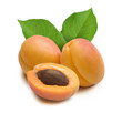 Apricot 4