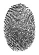 Fingerprint Vector